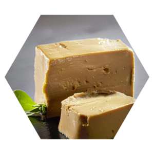 Foie gras block frozen