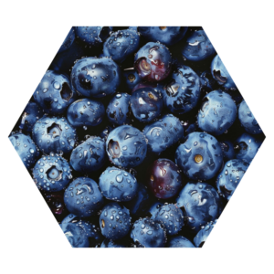 blueberries IQF